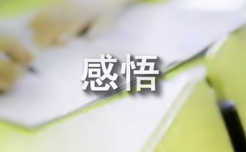 張桂梅先進事跡感悟(通用6篇)