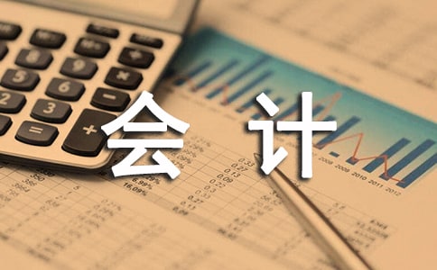 公司新手會計工作總結范文