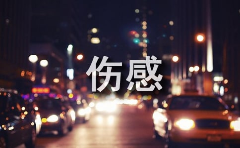 ���е���������