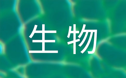 ����̌W��K�������Y