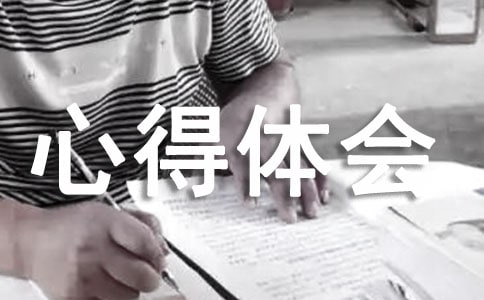 實(shí)訓(xùn)心得體會(huì)【精】