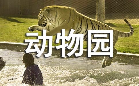 動(dòng)物園寫(xiě)家人作文